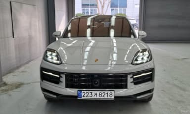 Cayenne (PO536)