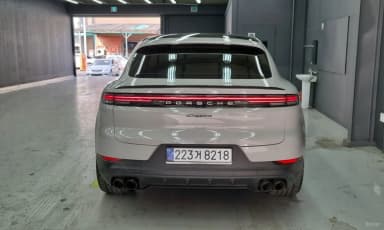 Cayenne (PO536)