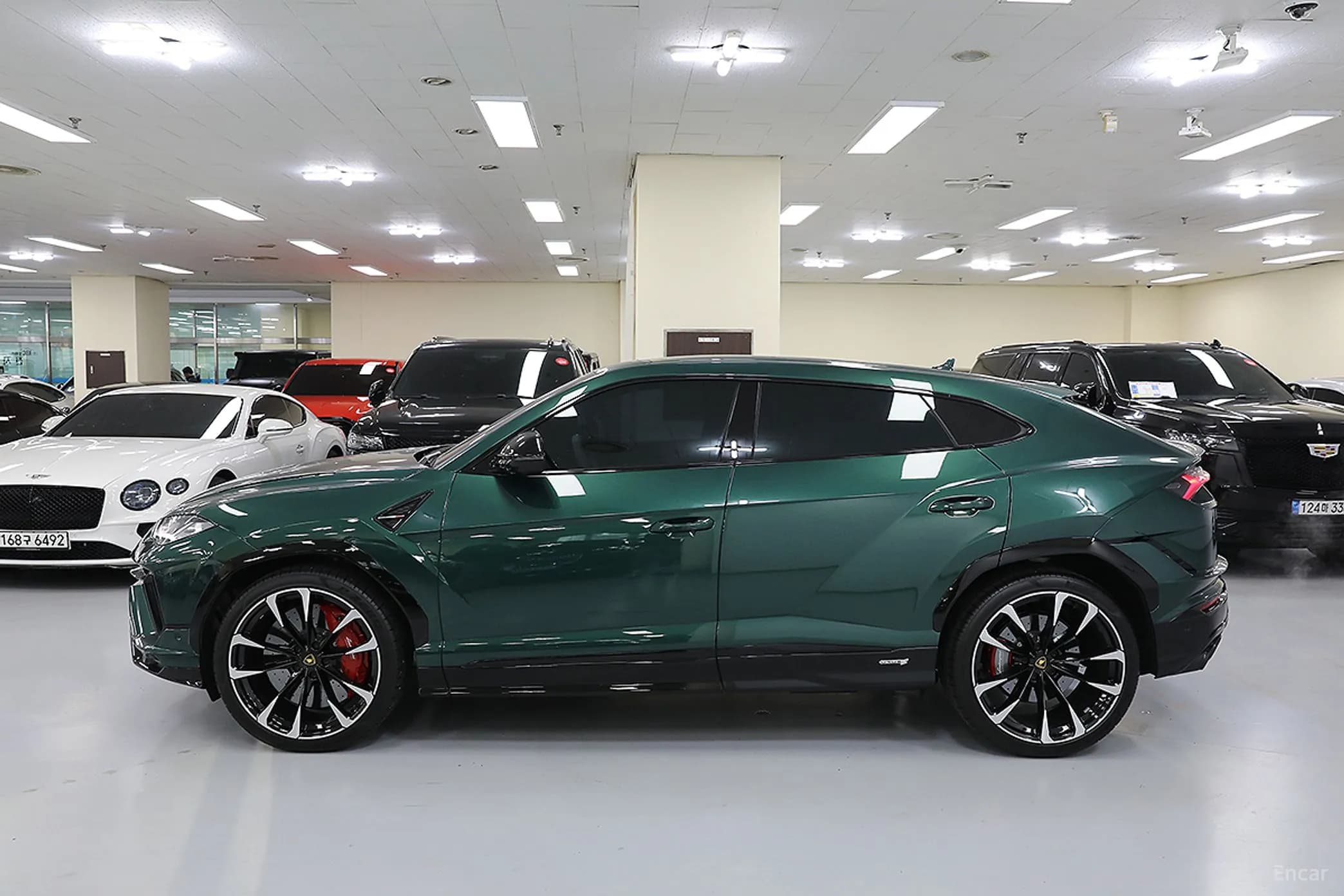 Urus