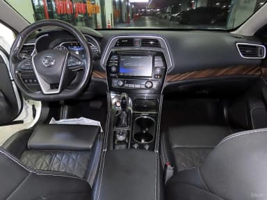 Maxima (A36)