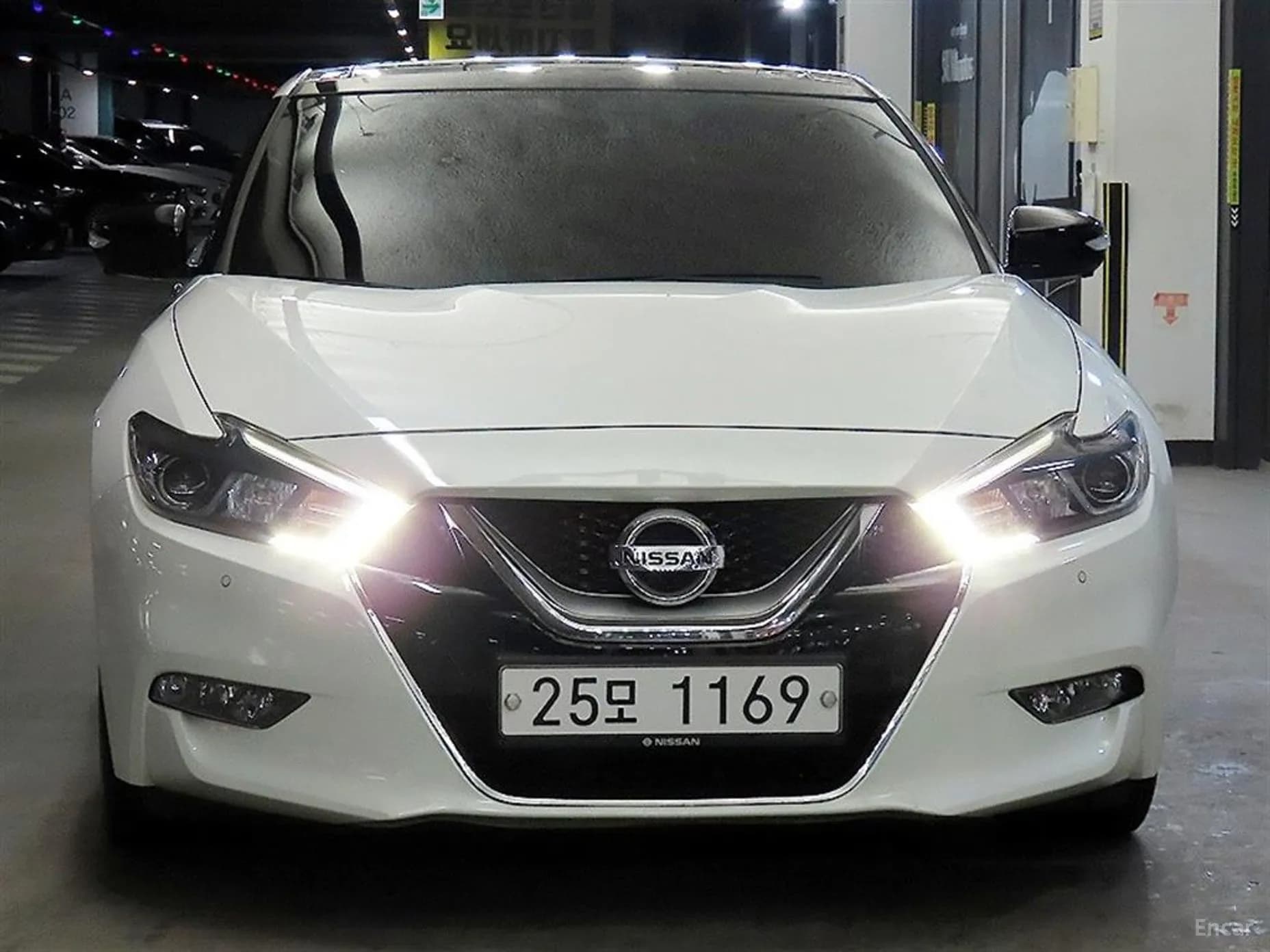 Maxima (A36)