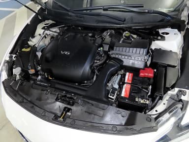 Maxima (A36)