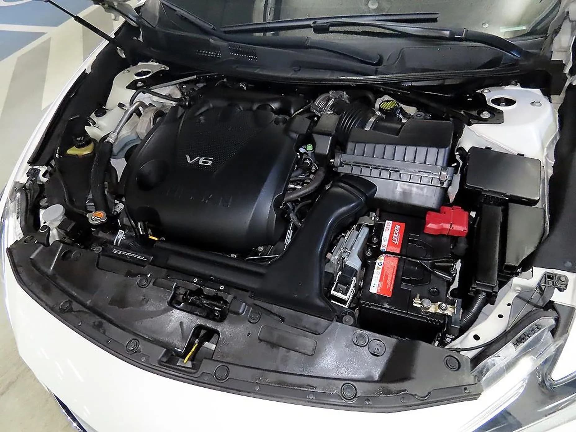 Maxima (A36)