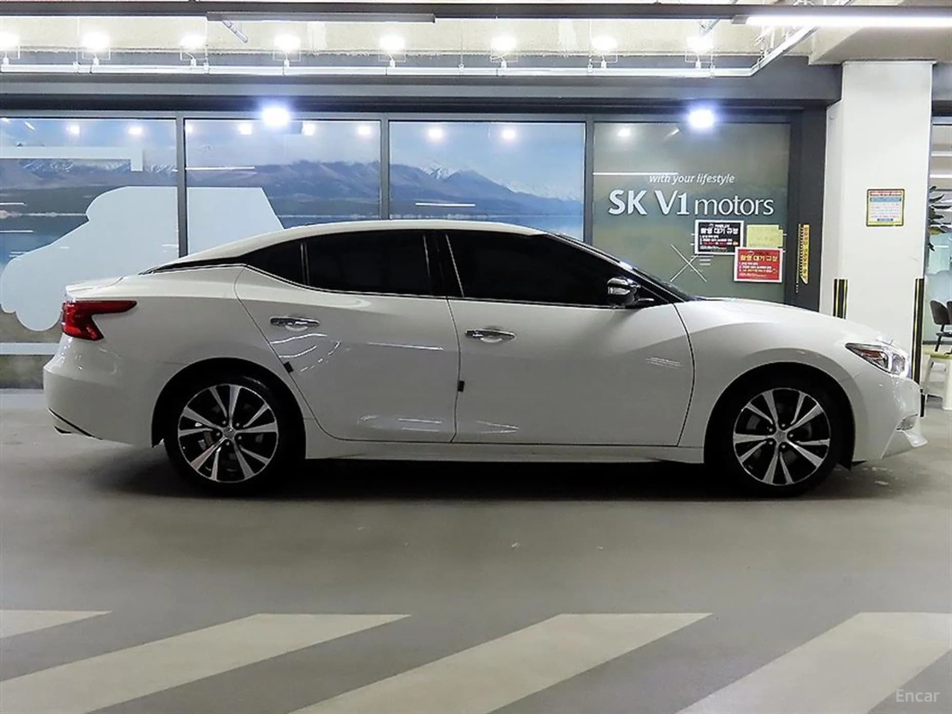 Maxima (A36)