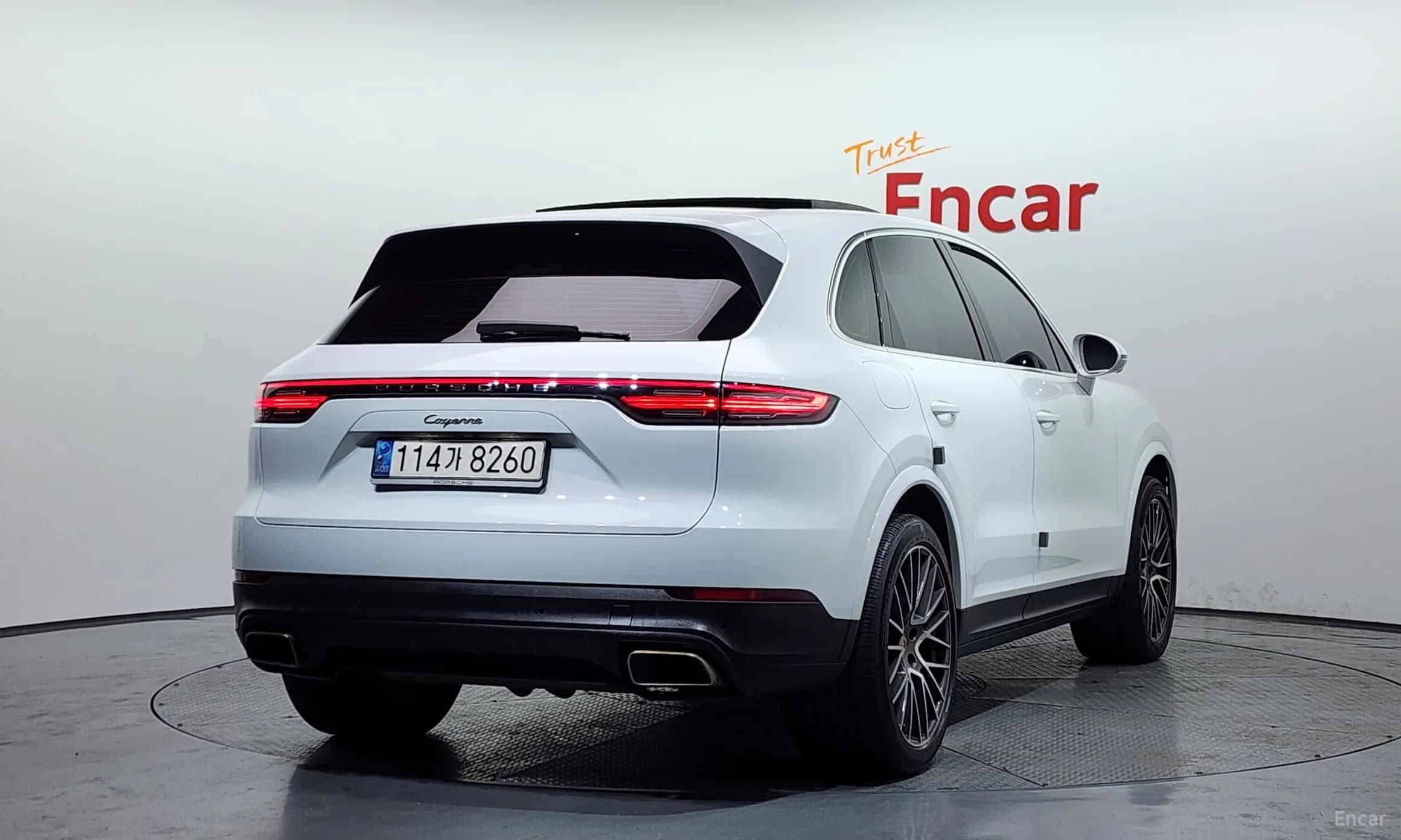 Cayenne (PO536)