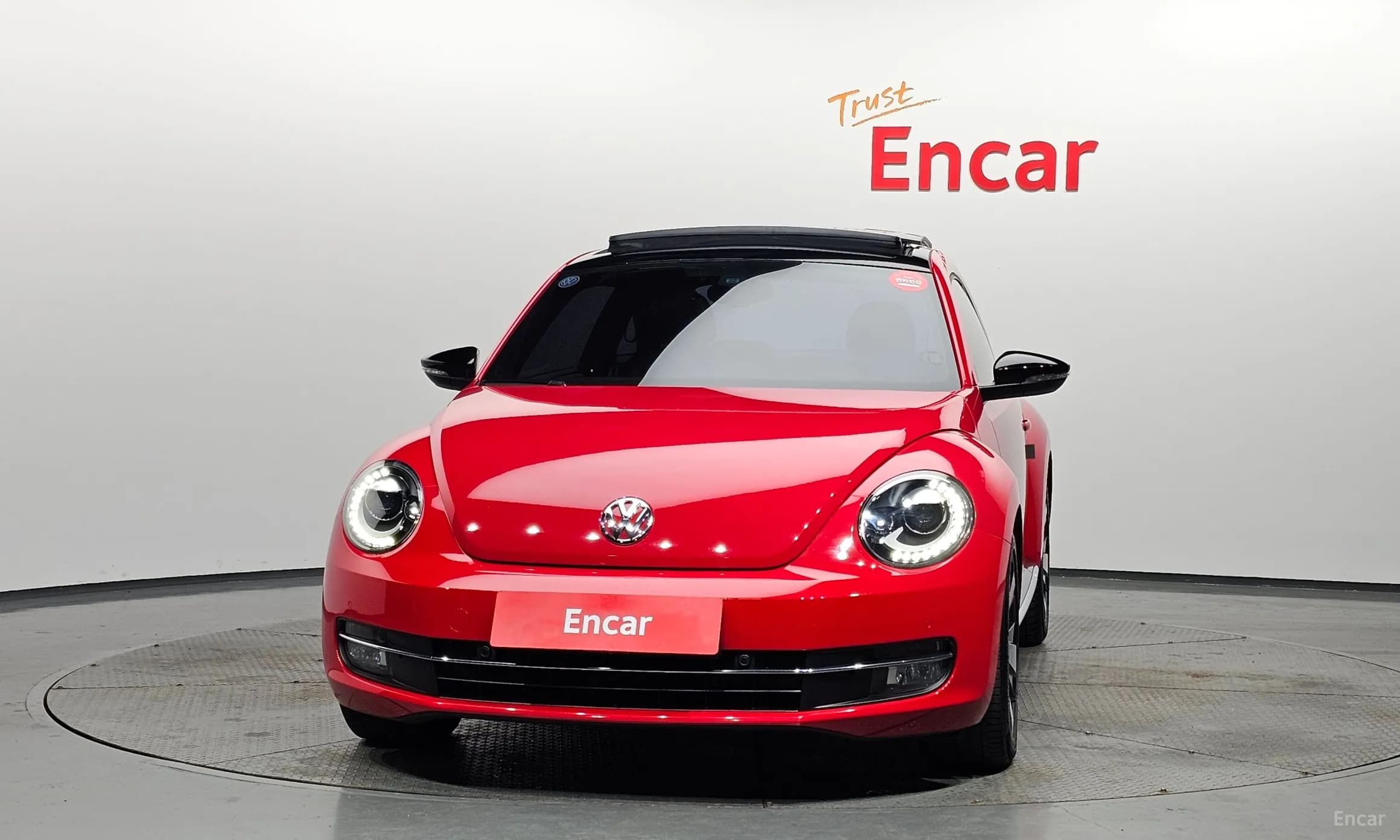 The Beetle