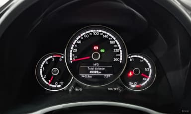 The Beetle