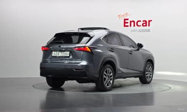 NX300h