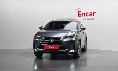 NX300h