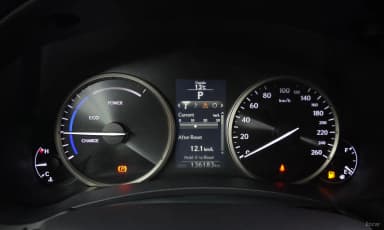 NX300h