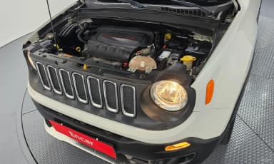 Renegade