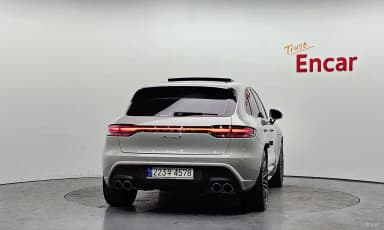Macan