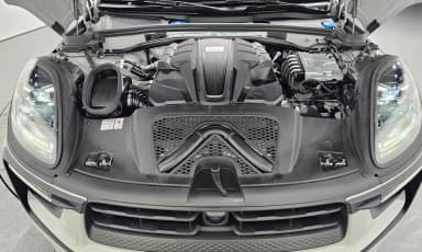 Macan