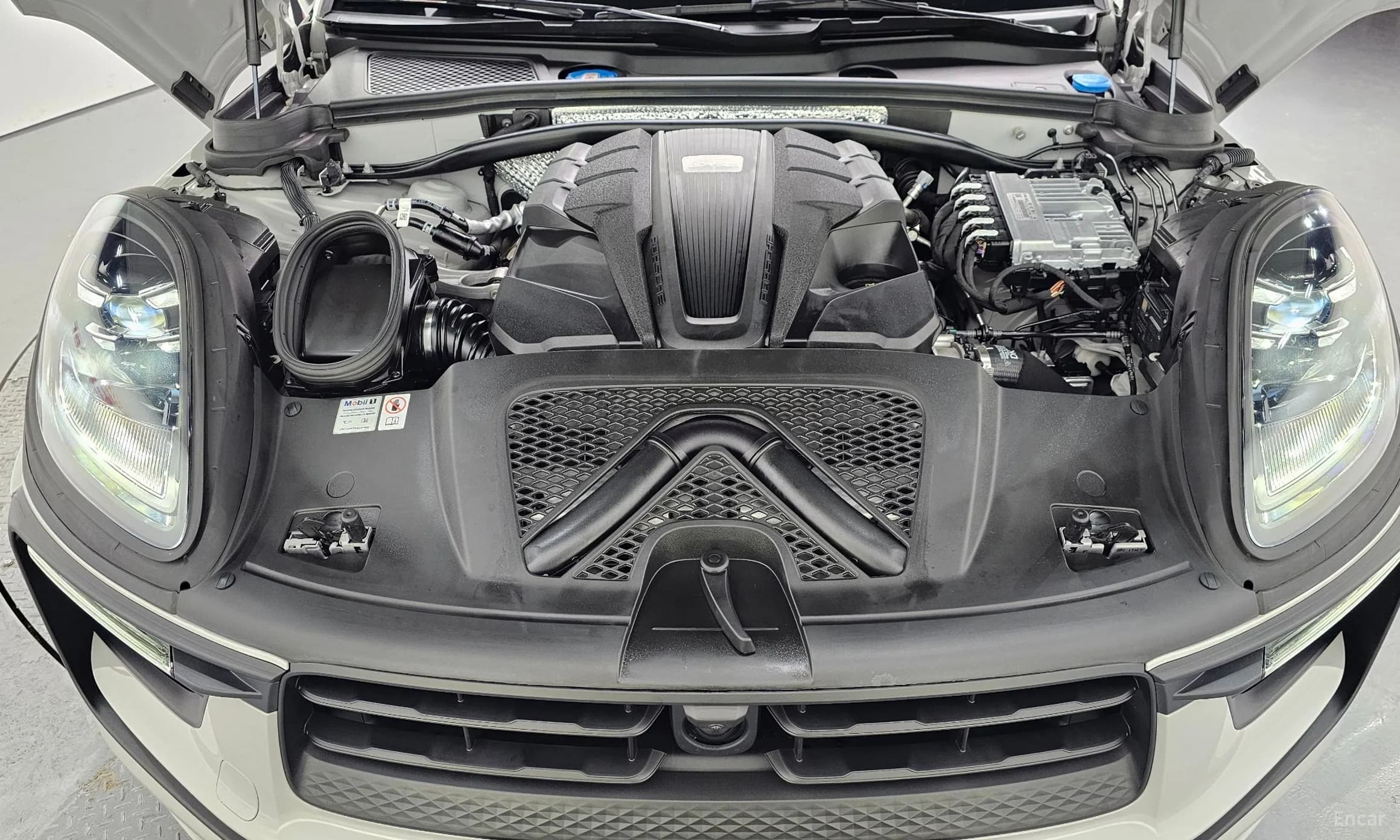 Macan