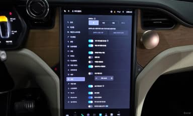Model X