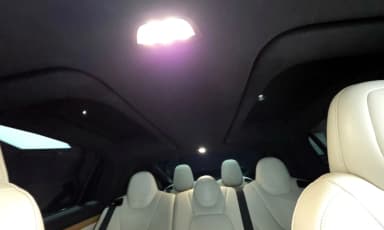 Model X