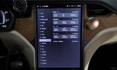 Model X