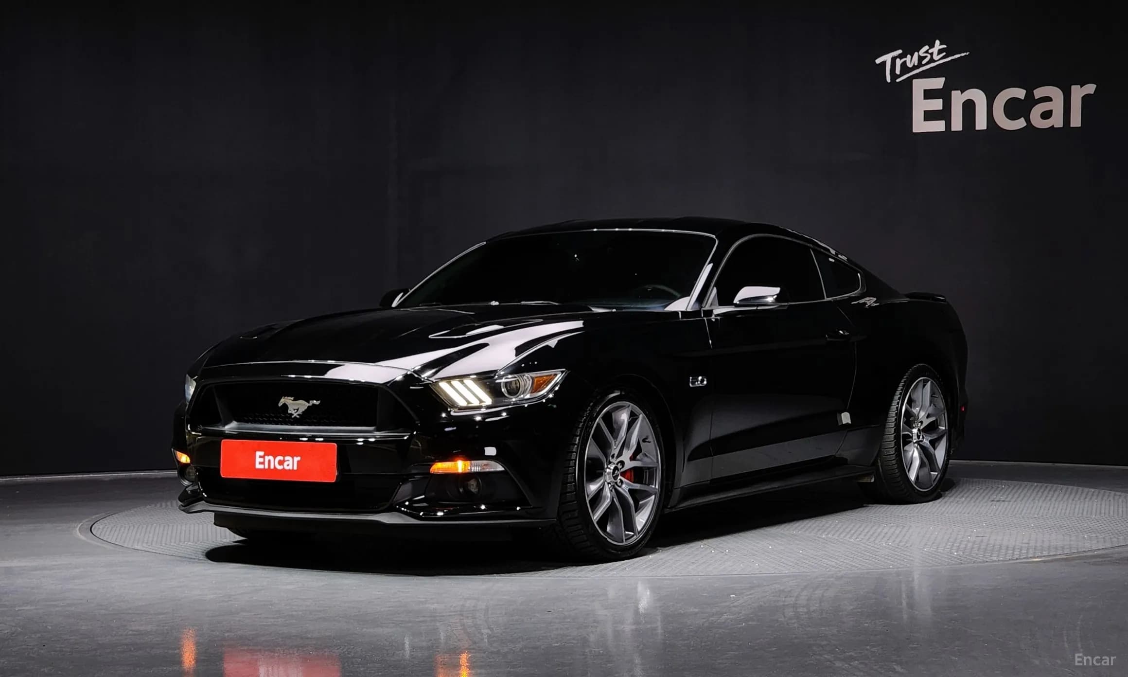 Mustang