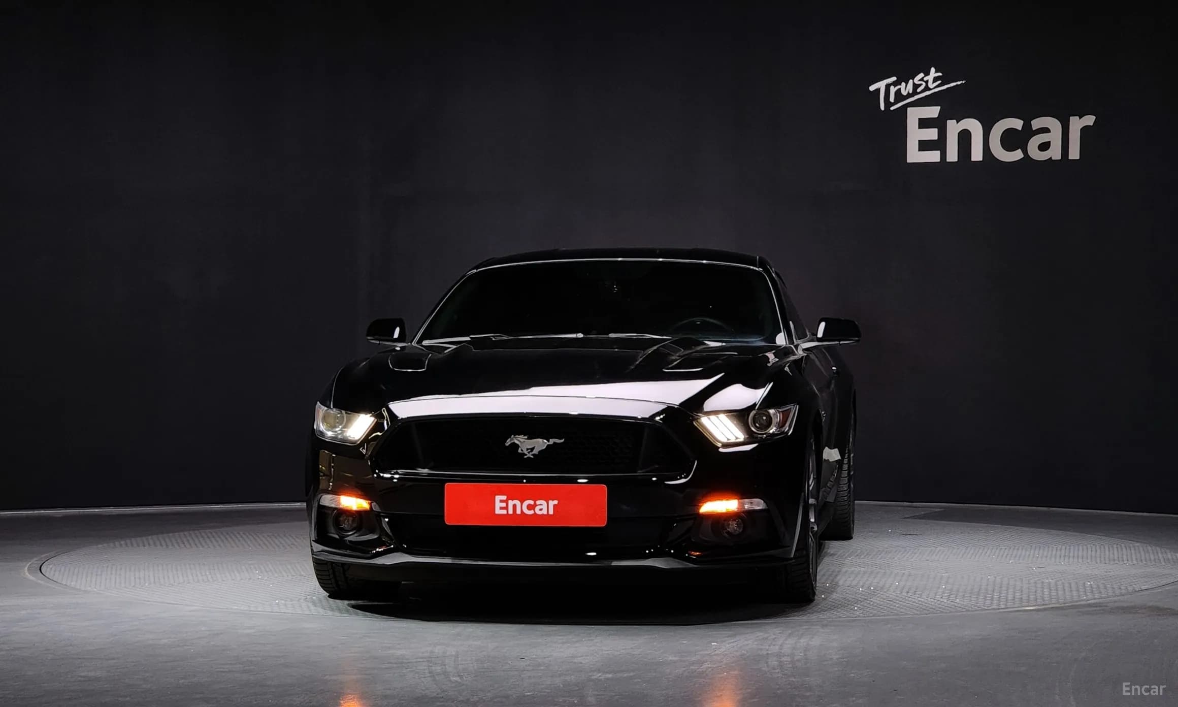 Mustang