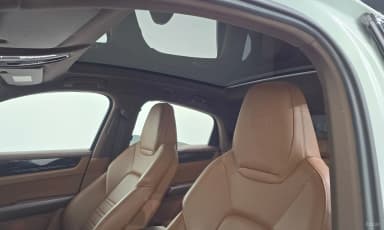 Cayenne (PO536)