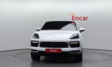 Cayenne (PO536)
