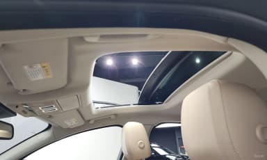 XF (x260)