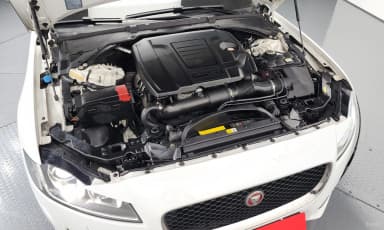 XF (x260)