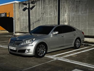 Equus (new)