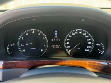 Equus (new)