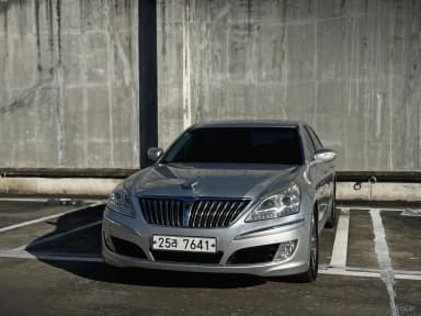 Equus (new)