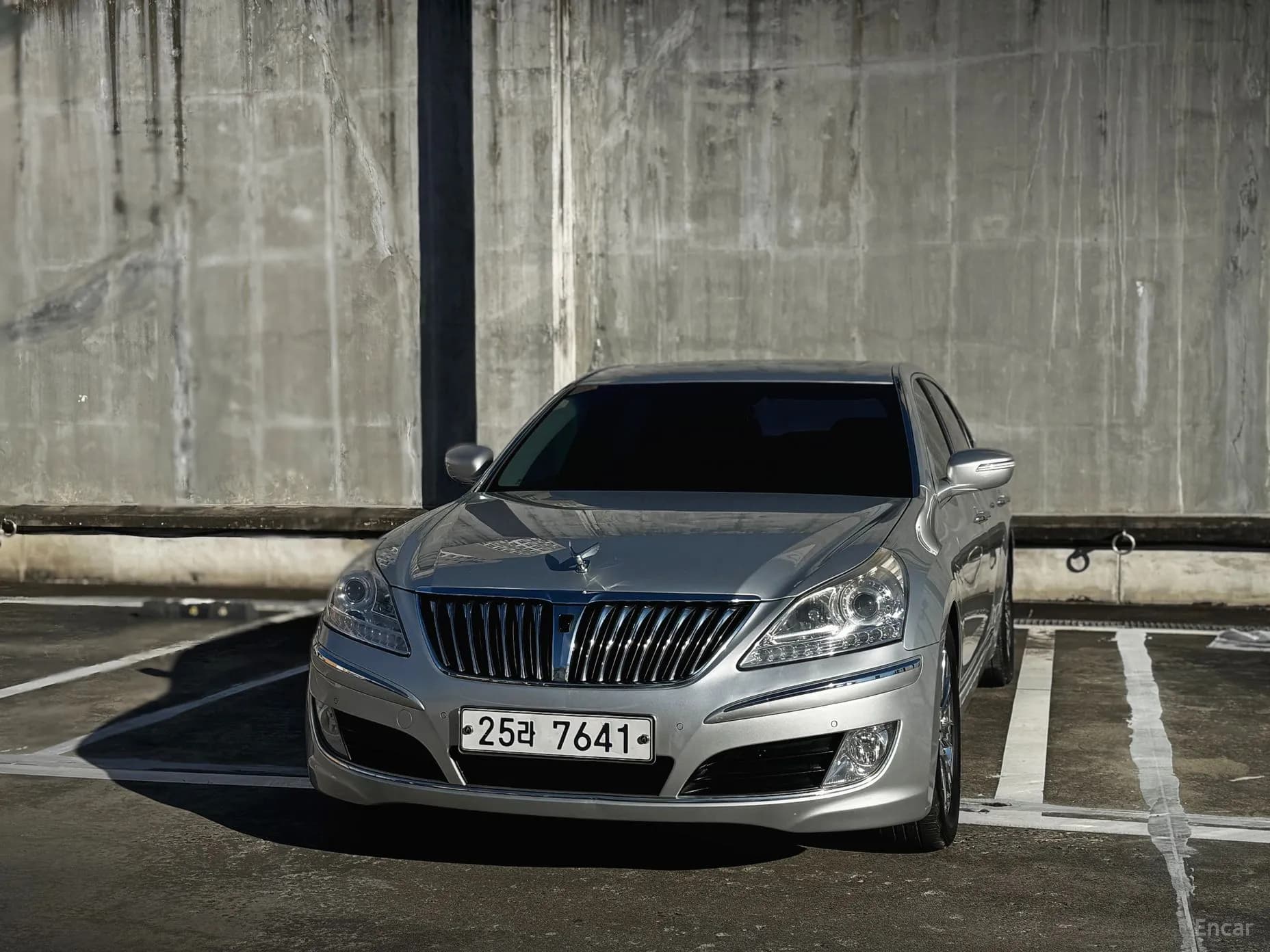 Equus (new)
