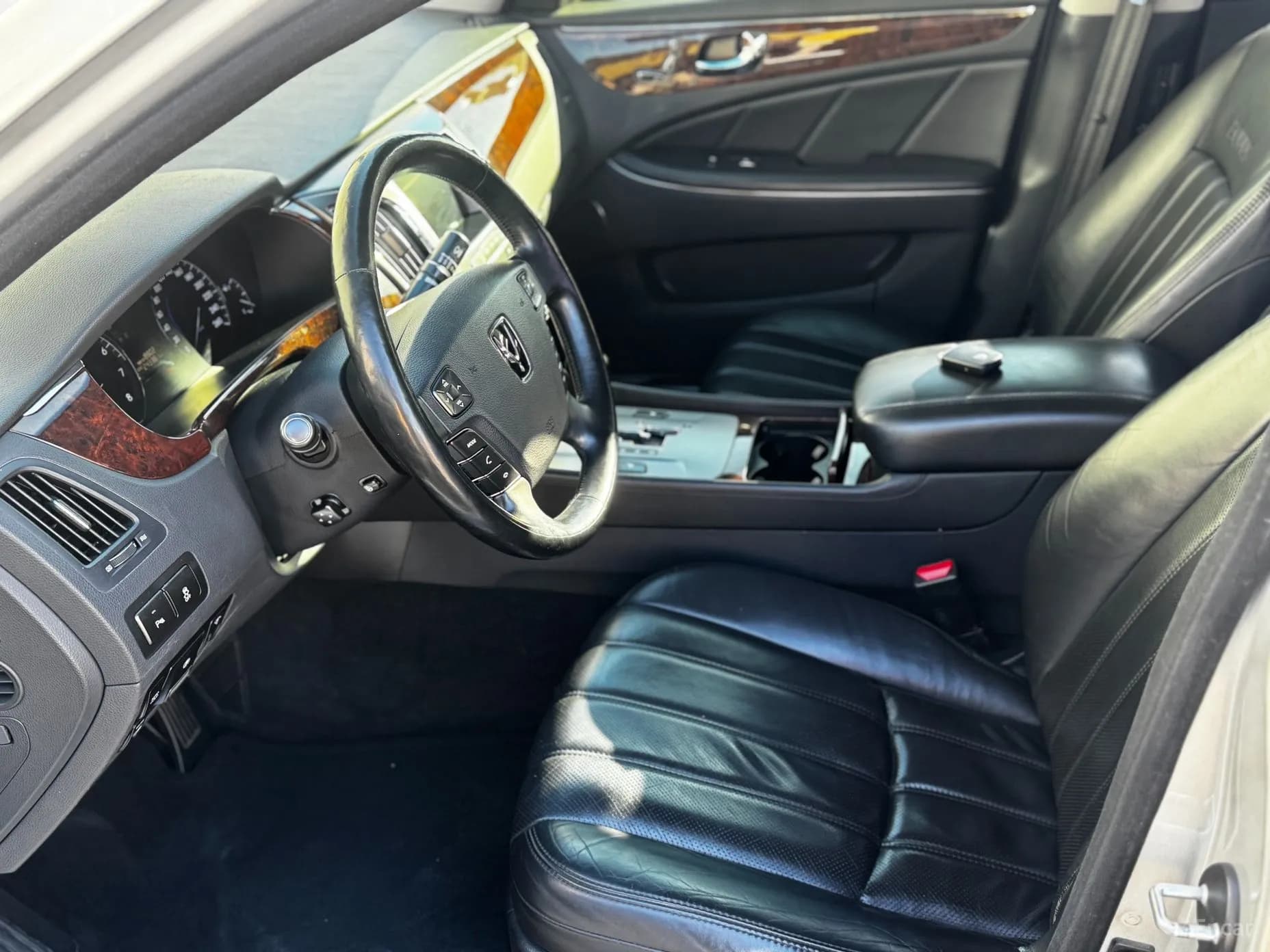 Equus (new)