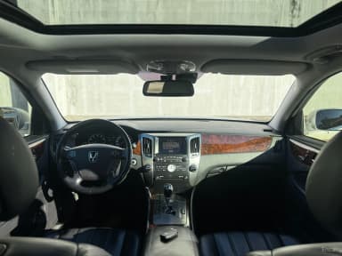 Equus (new)