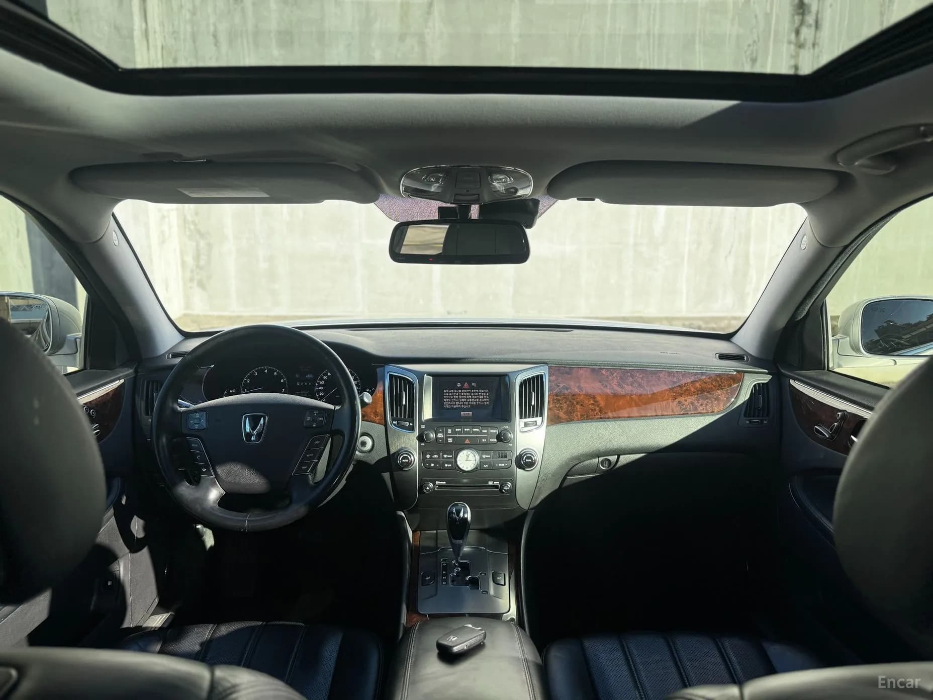 Equus (new)