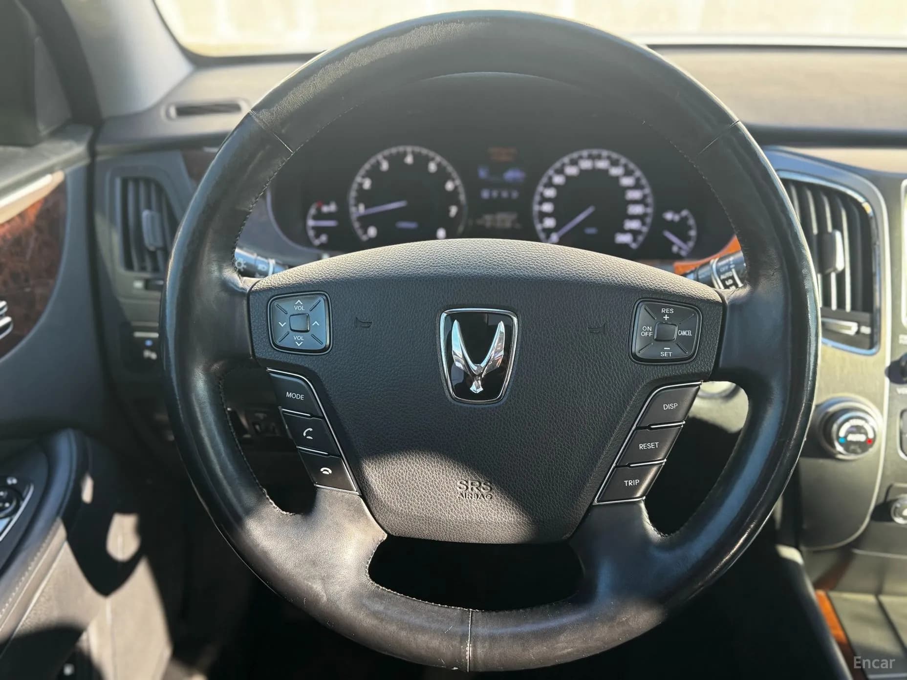 Equus (new)