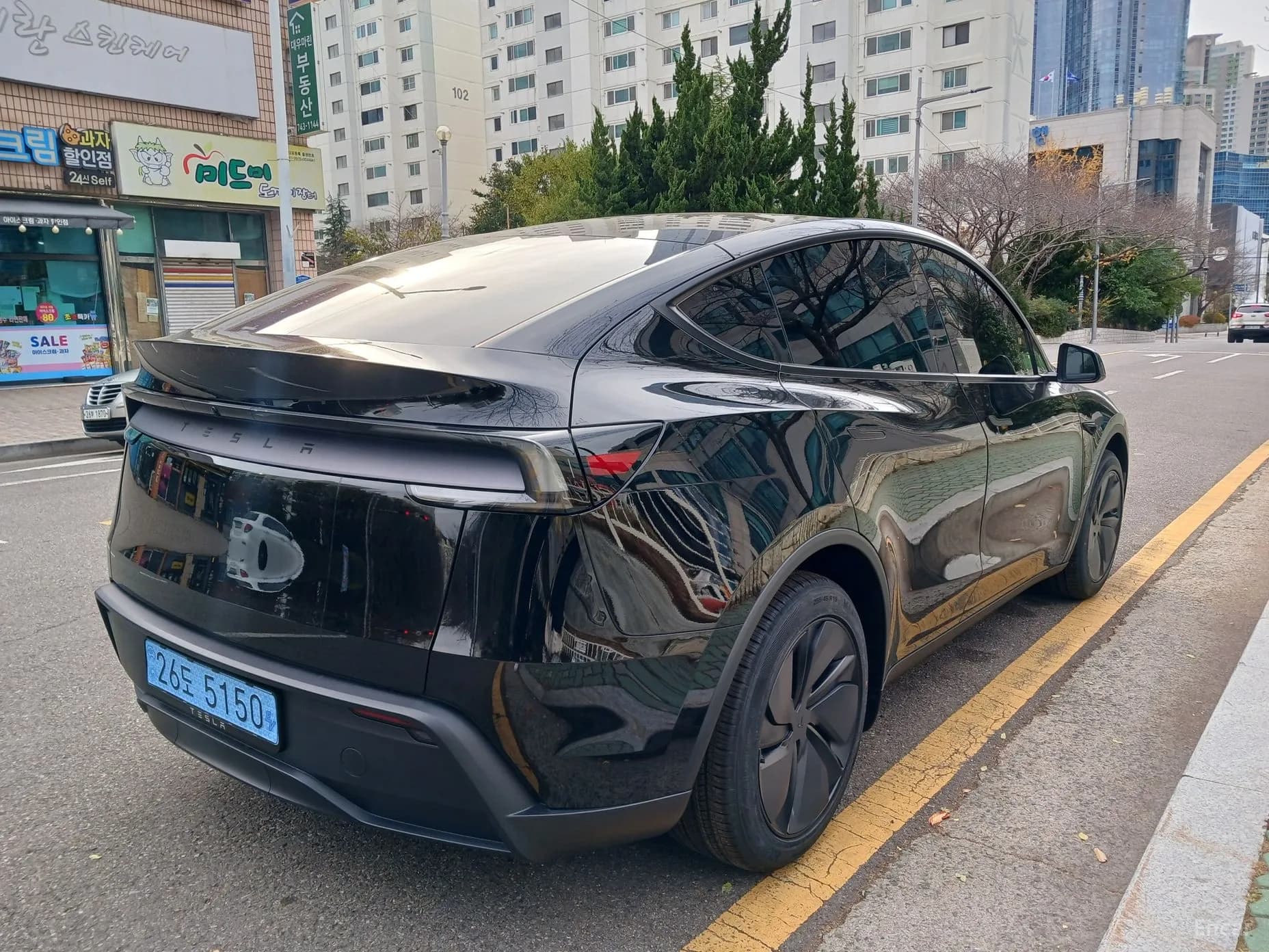 Model Y