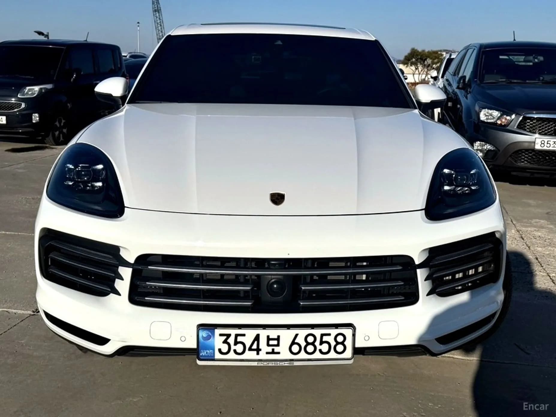 Cayenne (PO536)