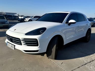 Cayenne (PO536)