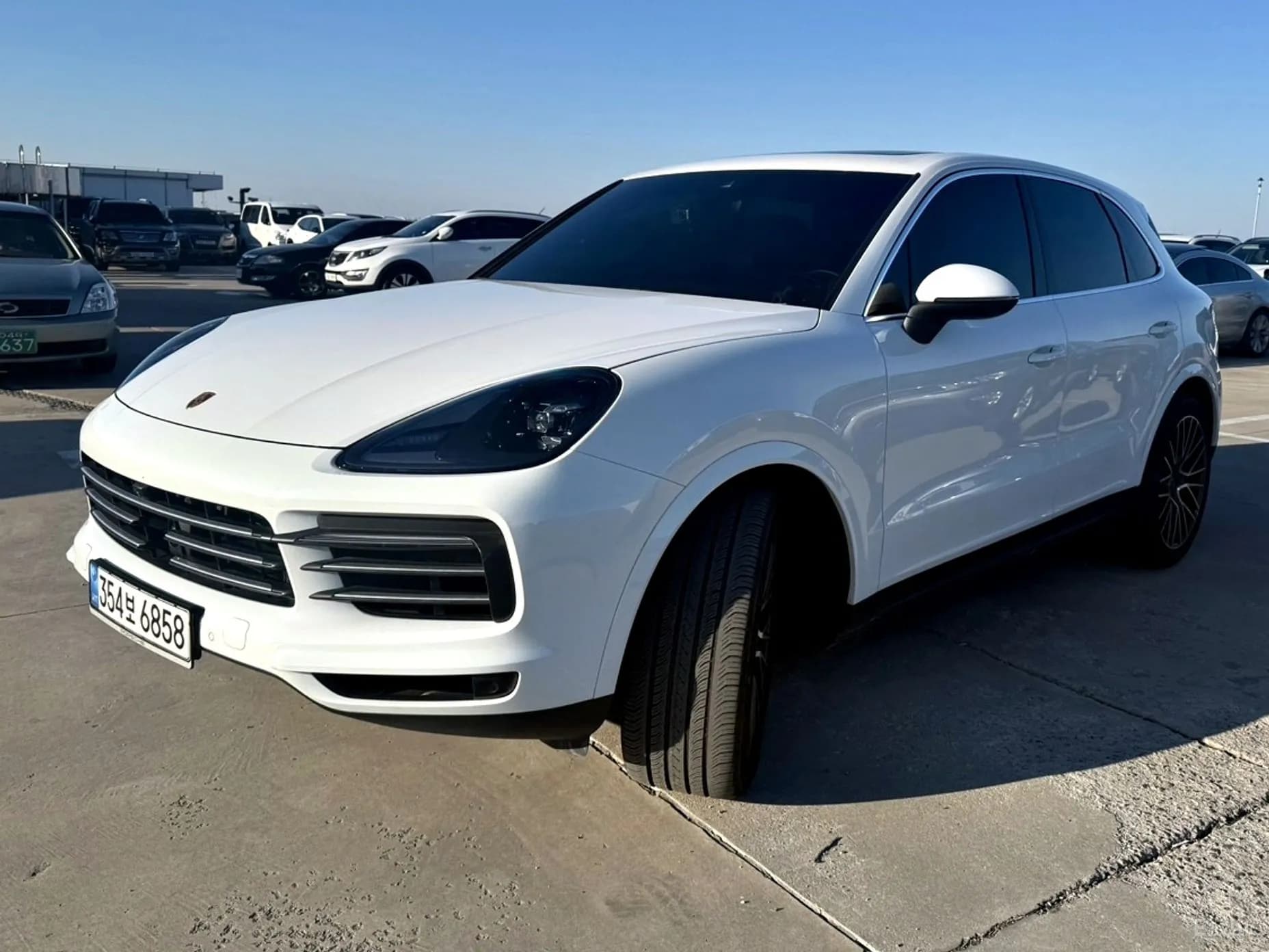 Cayenne (PO536)
