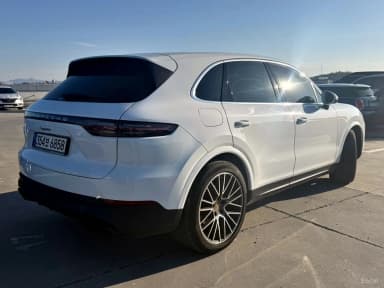 Cayenne (PO536)