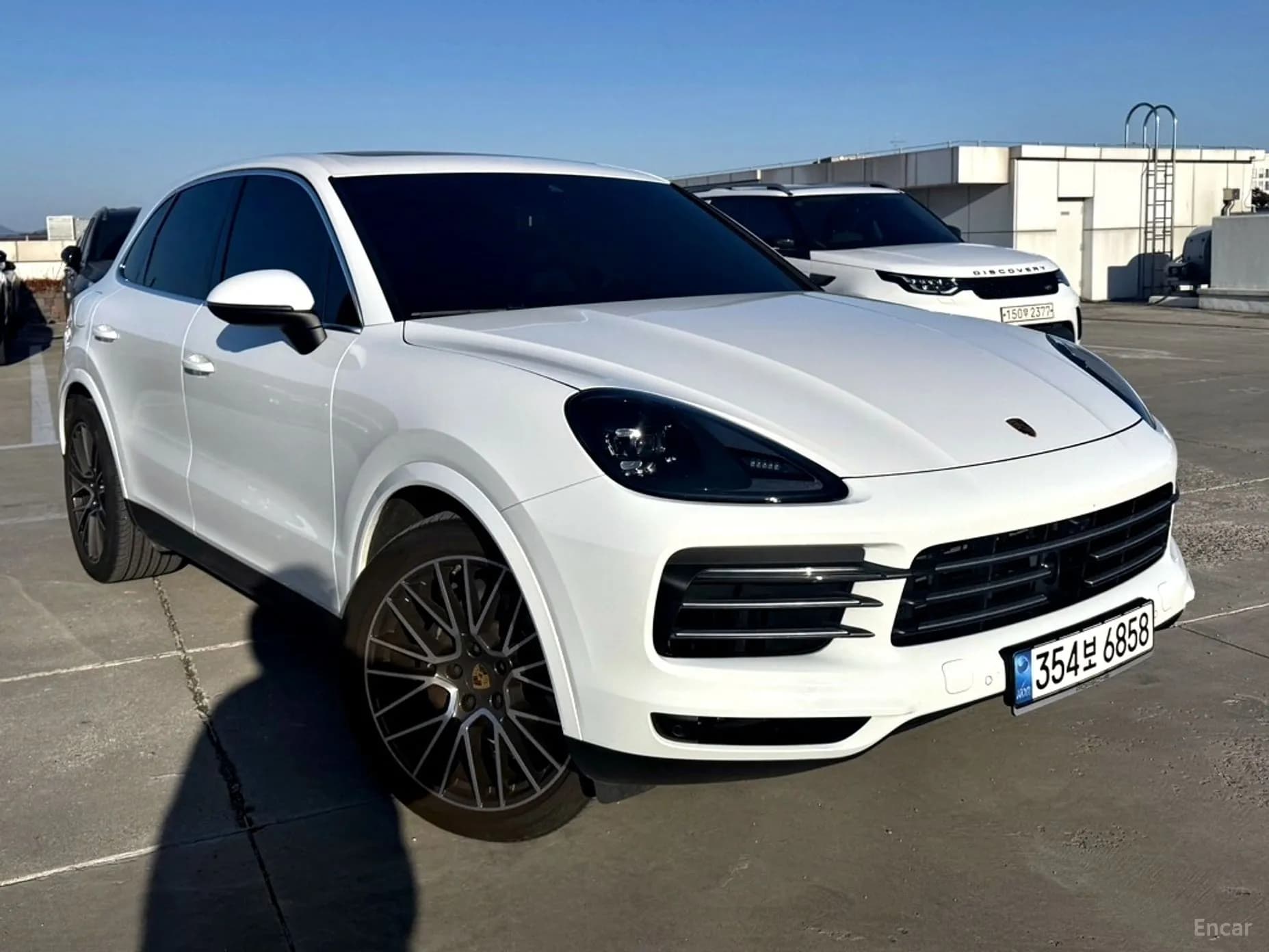 Cayenne (PO536)