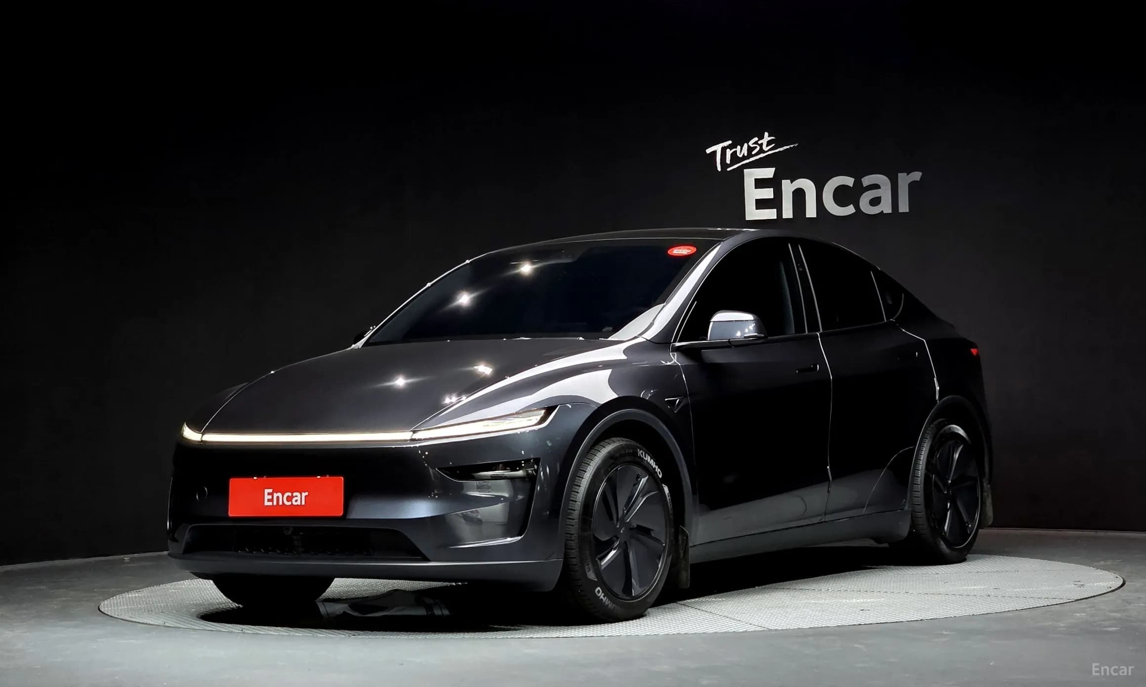Model Y
