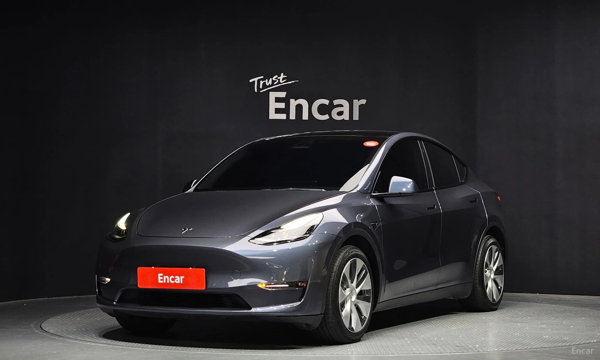 Model Y