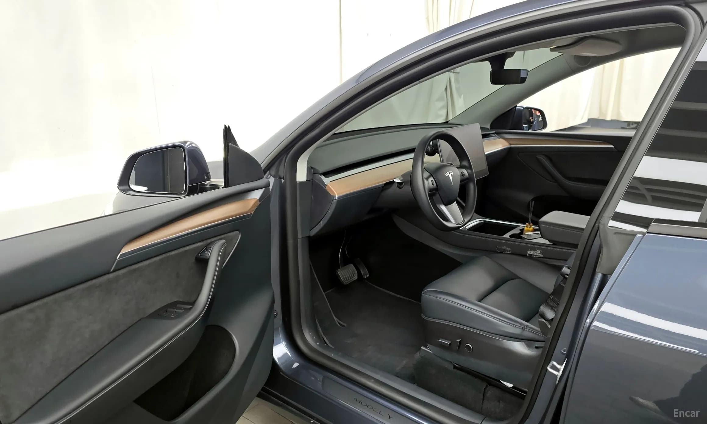 Model Y