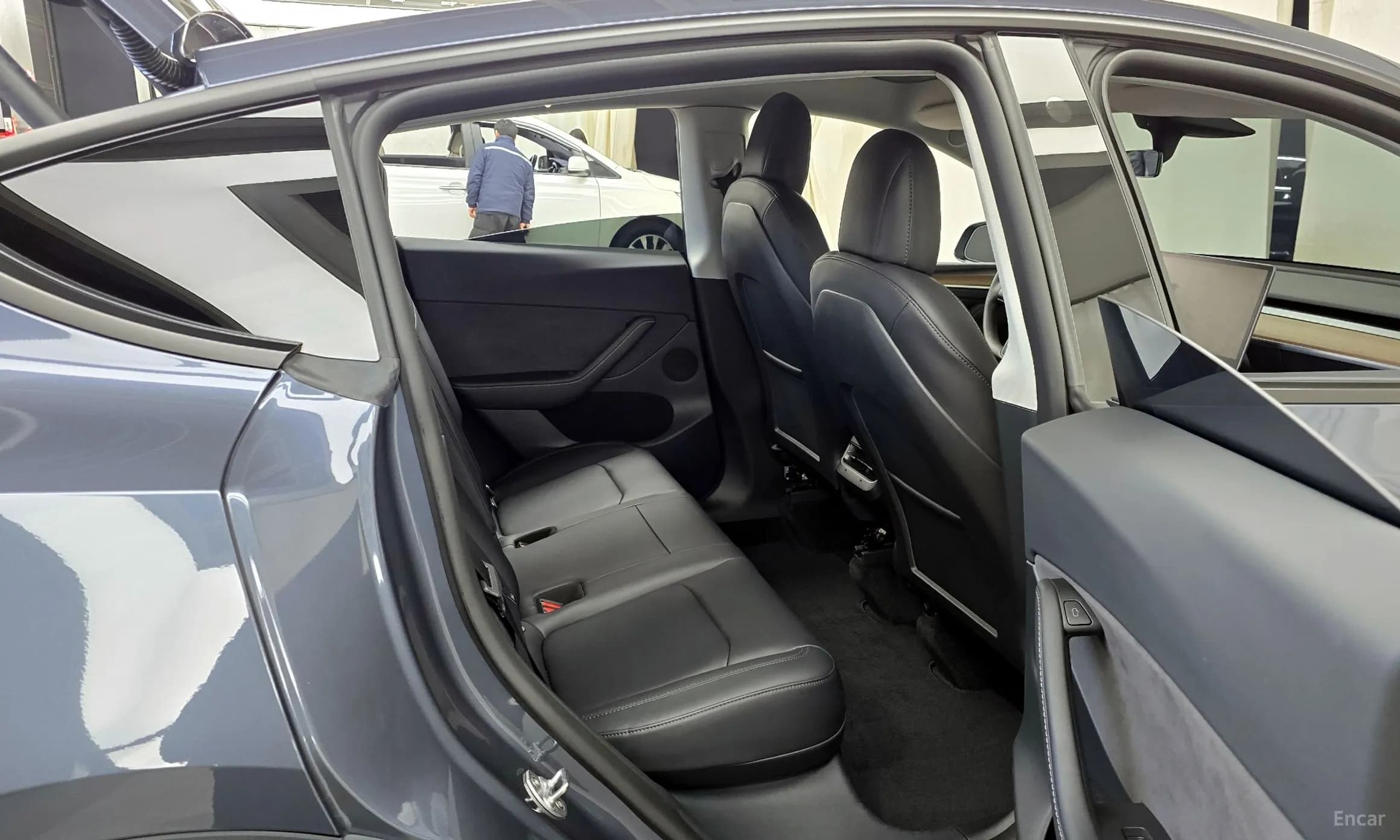 Model Y