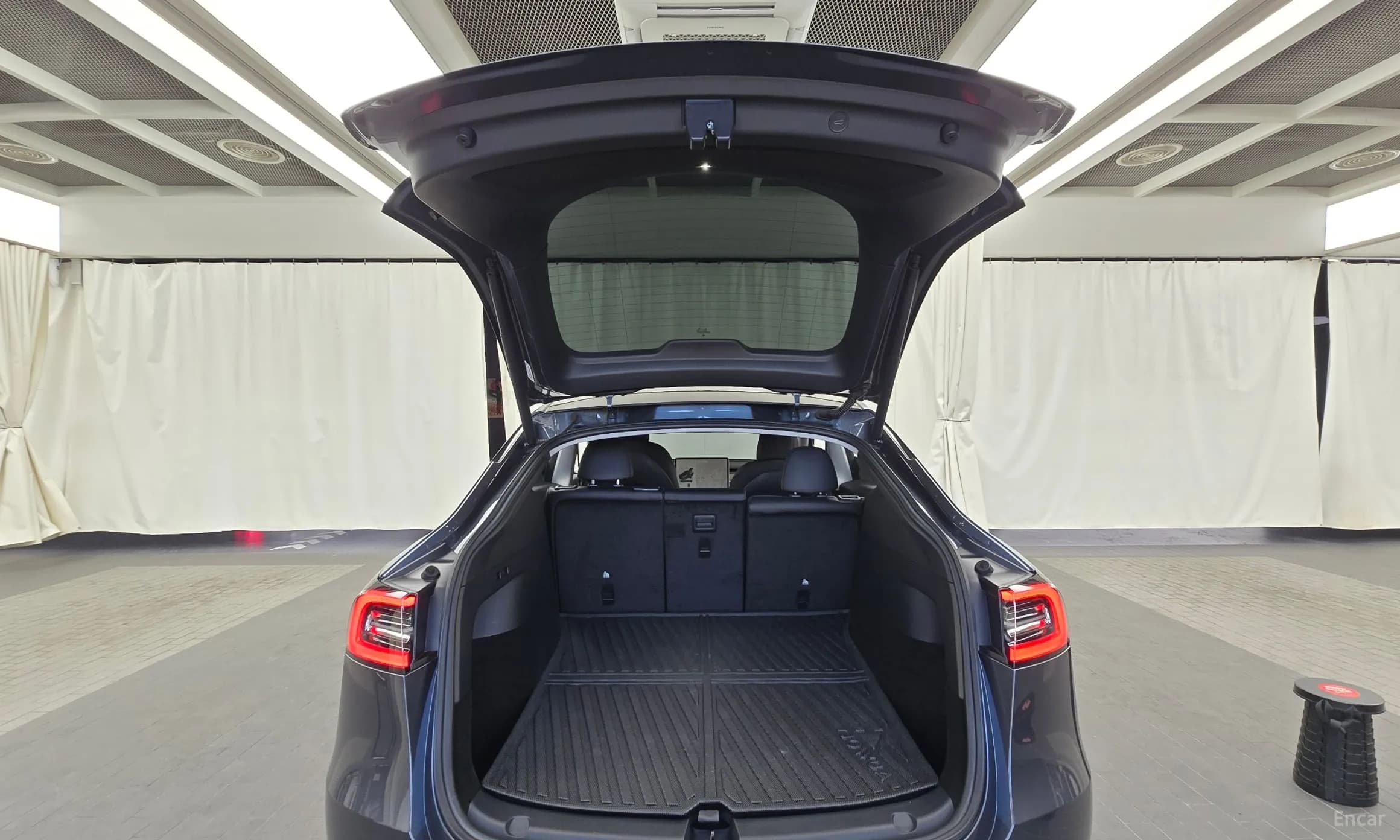 Model Y