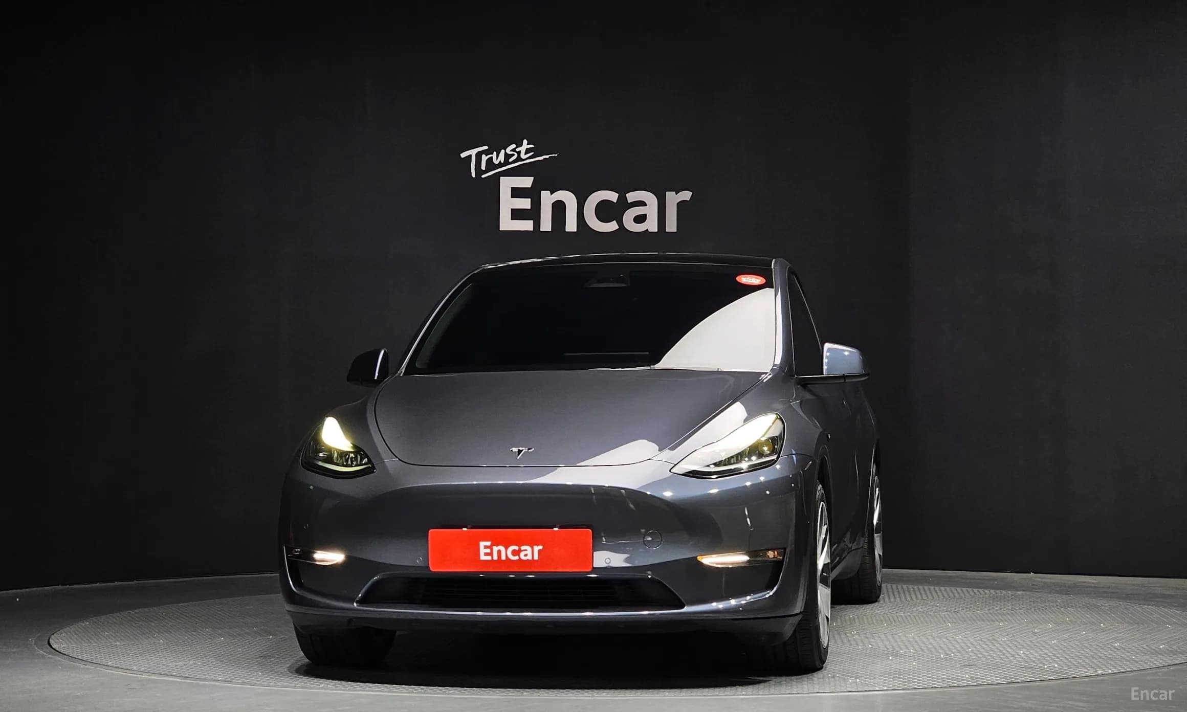 Model Y