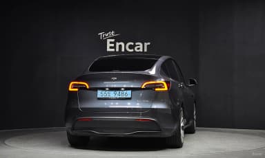 Model Y