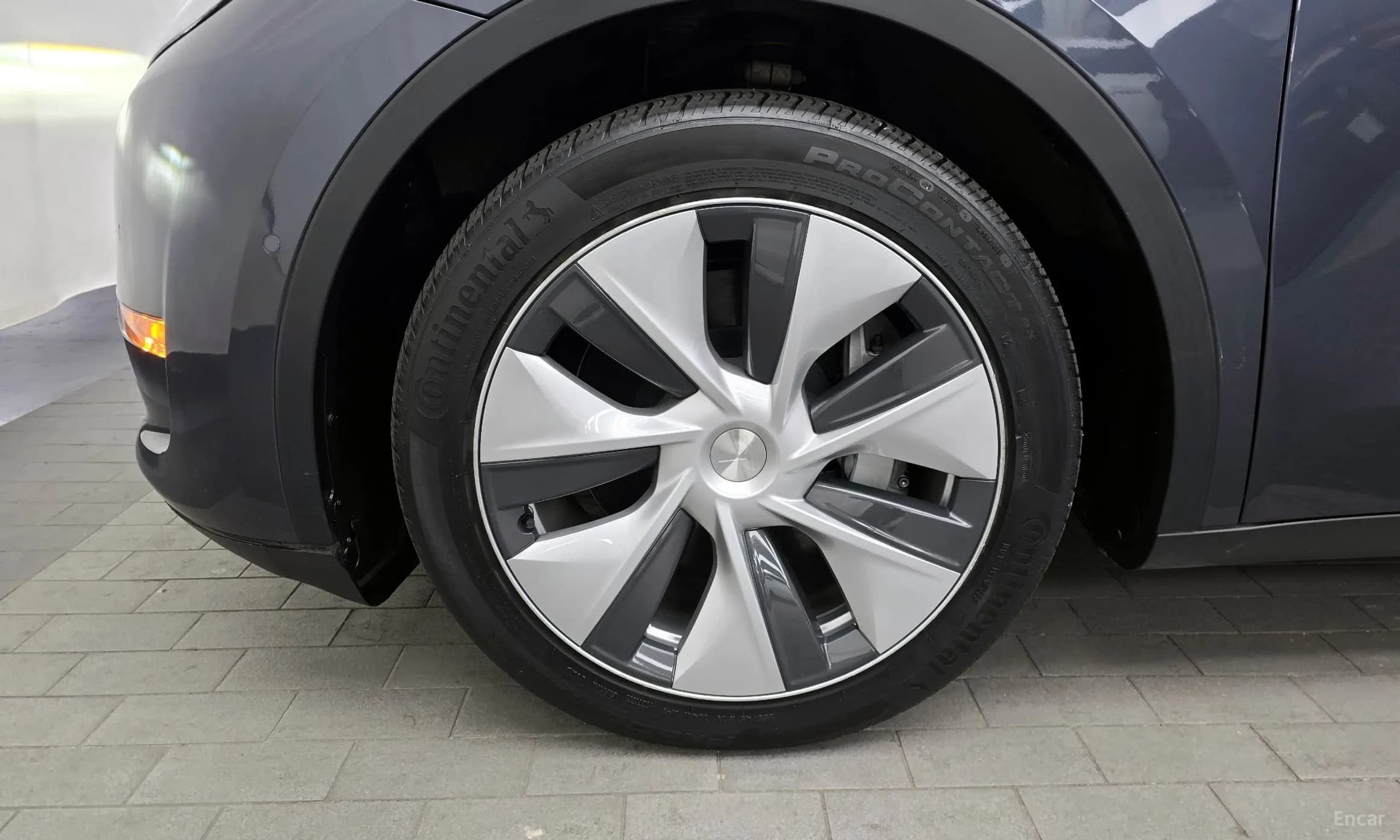 Model Y