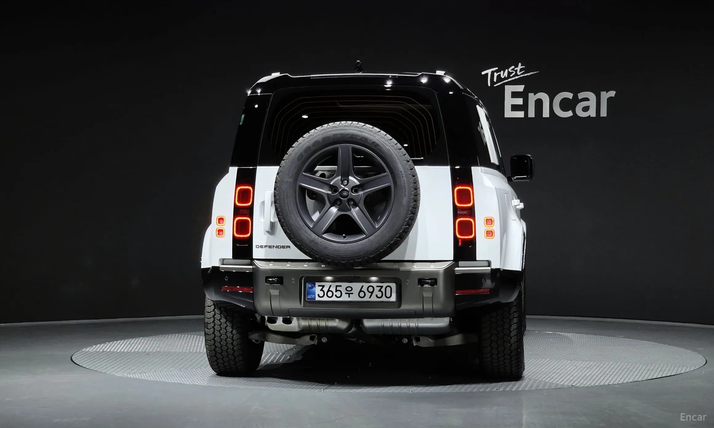 Defender (L663)